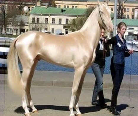 20130201000500_0.jpg