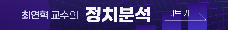 최연혁 교수의 정치분석