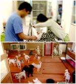 썸네일 이미지
