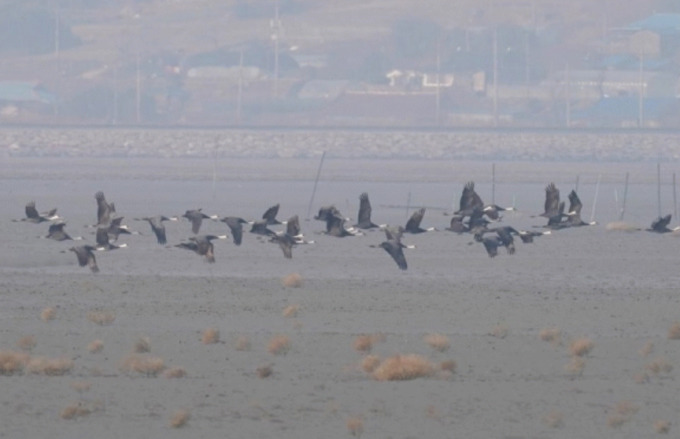 newspim photo