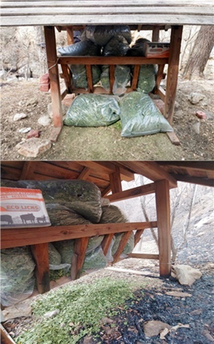 newspim photo