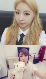 썸네일 이미지