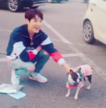썸네일 이미지