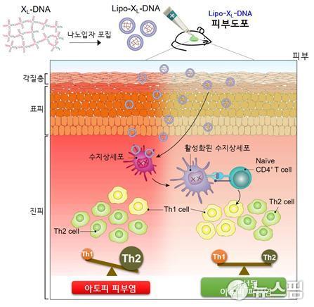 김치로 아토피 피부염 예방과 치료 또 밝혀냈다