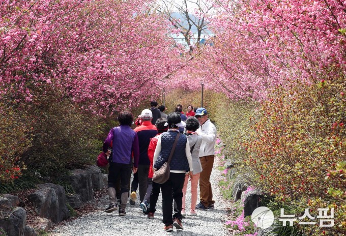 사진