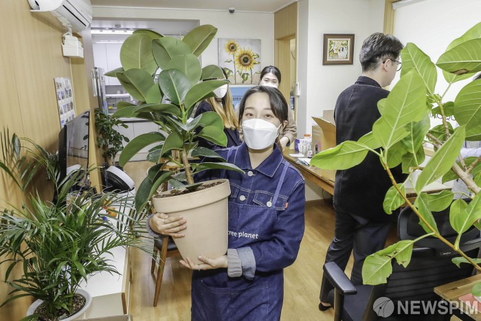 사진