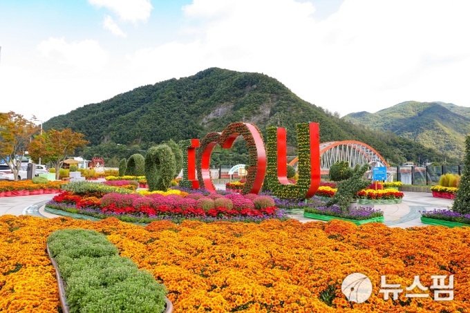사진