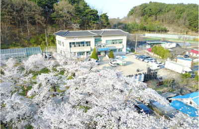 썸네일 이미지