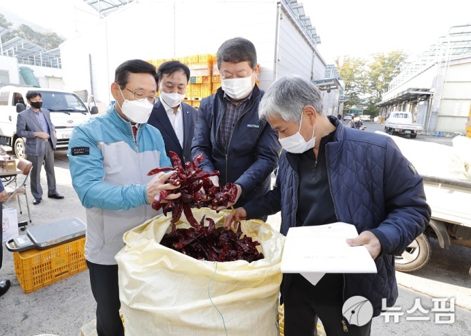 사진