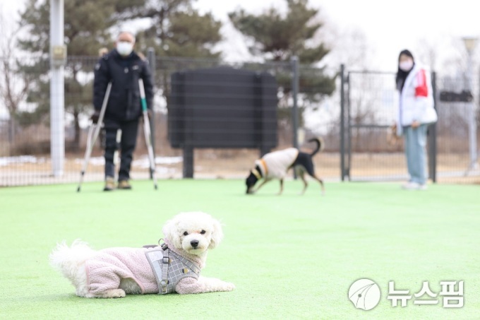 사진
