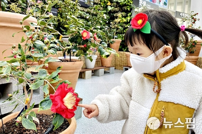 사진