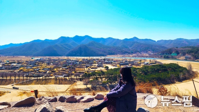 사진