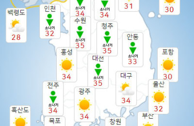 썸네일 이미지