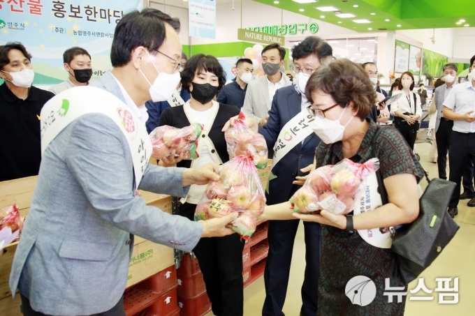사진