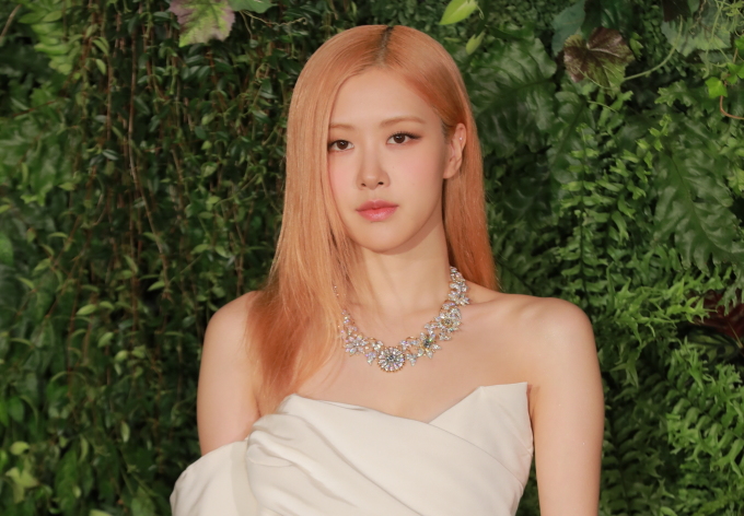 보태니카 이미지