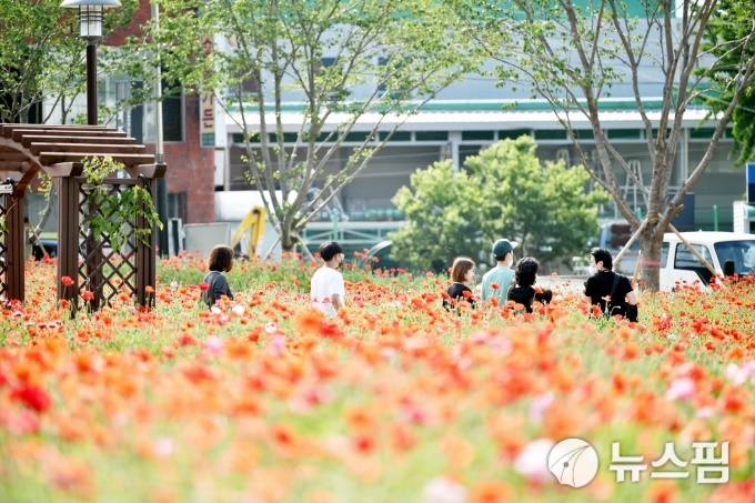 사진