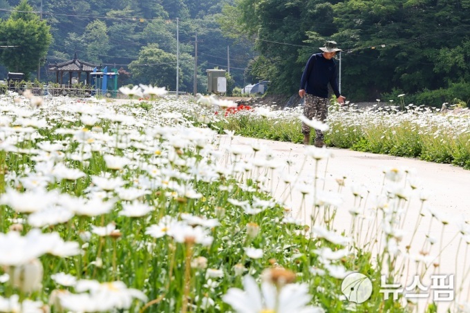 사진