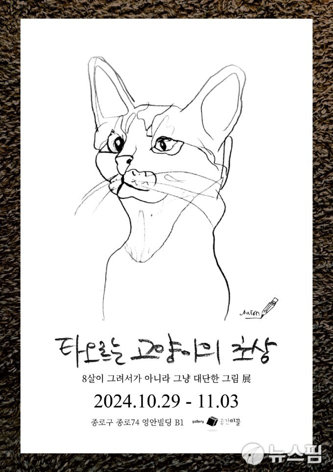 사진