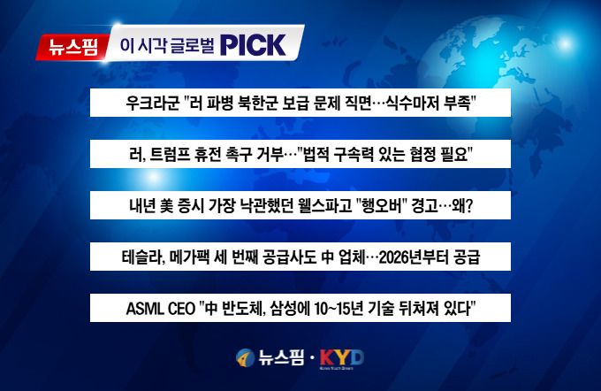 [뉴스핌 이 시각 글로벌 PICK] 웰스파고, 내년 美 증시 "행오버" 경고 外