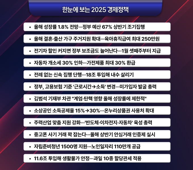 한눈에 보는 '2025 경제정책 방향'