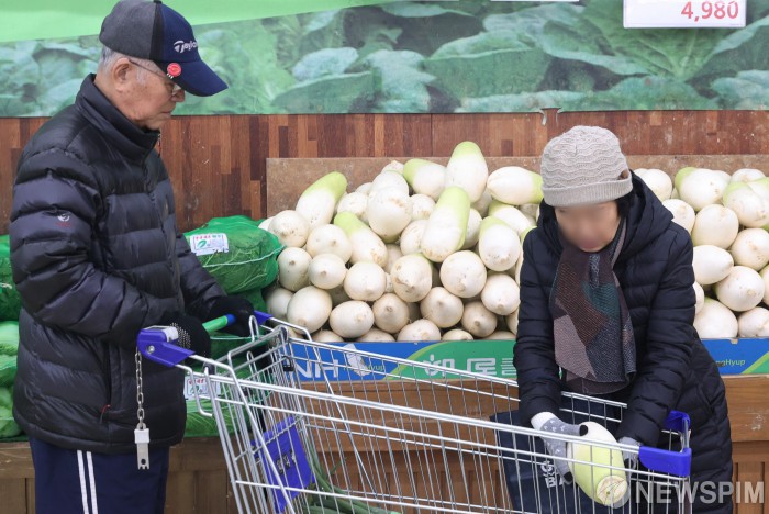 설 명절 앞두고 무 '금값'