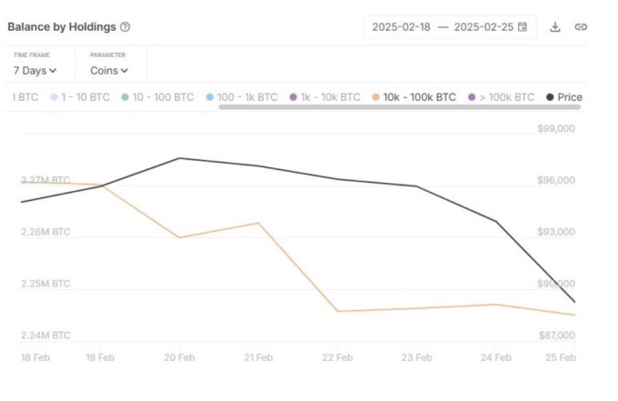 [코인 시황] '메가 고래' 매도가 원인?...비트코인 84K까지 급락