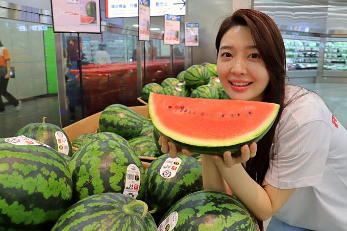 롯데마트 "9990원 반값 수박 맛보세요"