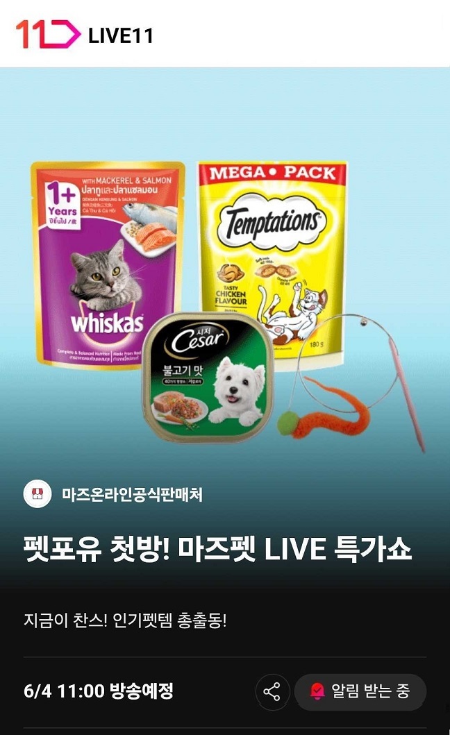 11번가, 펫팸족 위한 라이브 방송 '펫포유' 시작