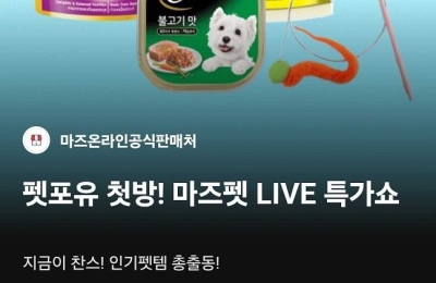 썸네일 이미지