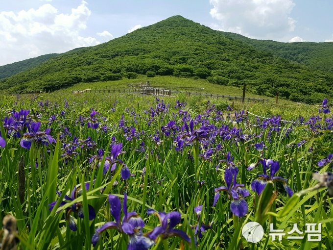 '기후위기 시대' 산림분야 보호구역 확대 및 관리 강화
