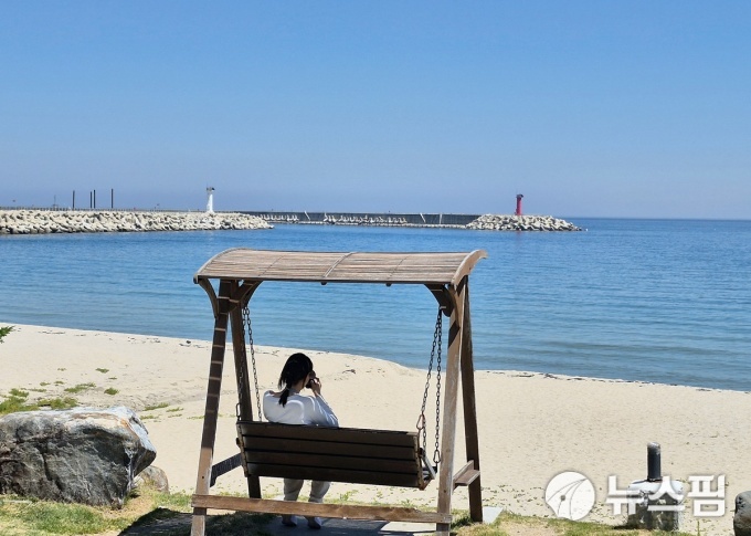 사진