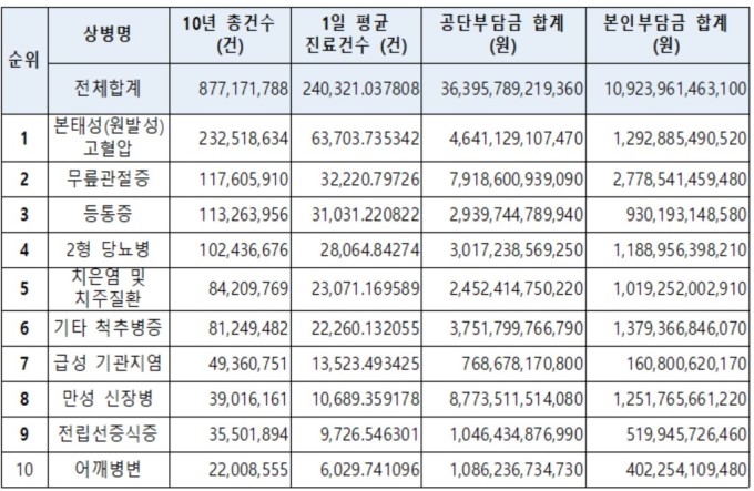 [2025 국감] 최근 10년간 고령층 진료 '고혈압 1위'…만성질환 급증