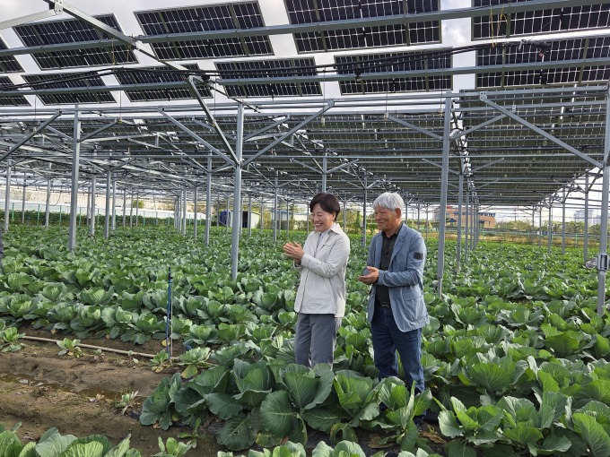 농식품부, '영농형 태양광' 도입 박차…전문가 의견 듣는다