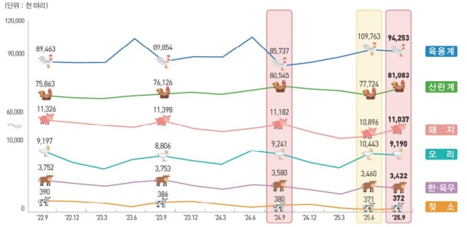 한·육우 사육수, 1년새 4.4%↓…가임 암소 감소 영향