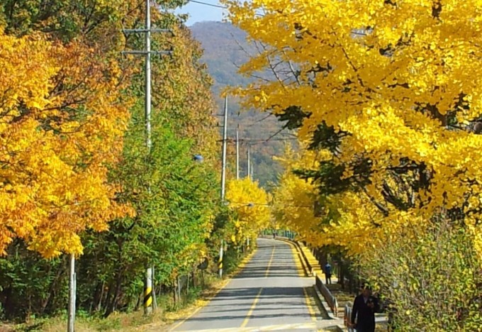 [삶과 시] 알 수 없는 쓸쓸함에 명치 끝이 아파오면…
