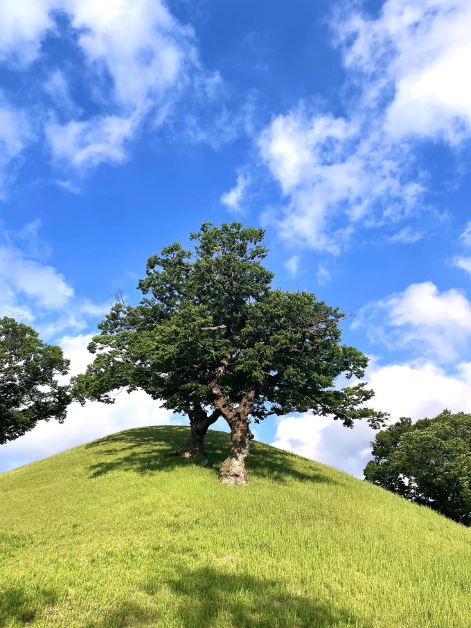 HS효성, 임직원 사진 공모전 개최...사내 소통 강화
