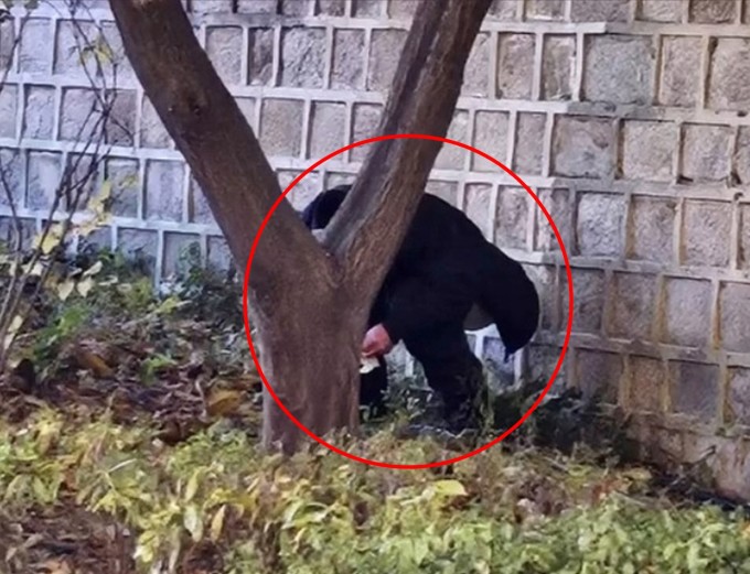 경복궁 돌담서 中관광객 '대변 테러'..."민폐 행위 날로 늘어"