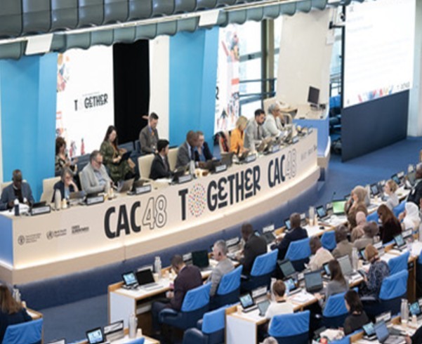 식약처, K-푸드 국제 위상 강화…'김치 배추' 국제 통용 명칭 등재