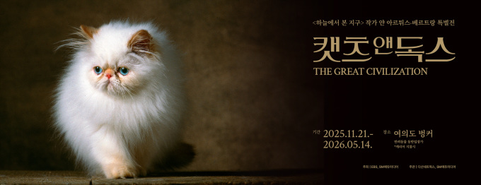 반려동물 입장 가능한 전시 '캣츠앤독스' 열린다