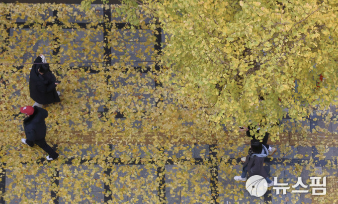 [삶과 시] 세월은 가고 오는 것... '목마와 숙녀'