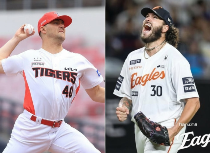 폰세 관련 기사 이미지