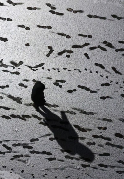 [삶과 시] 은하수가 펑펑 쏟아져 날아오듯 덤벼드는 눈