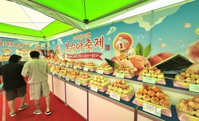 세종 <b>조치원복숭아축제</b> 개막..."떠나요~ 한여름 달콤한 휴가"