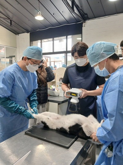 [www.newspim.com] 경기도, 상반기 9개 동물보호시설 717마리 진료지원 완료