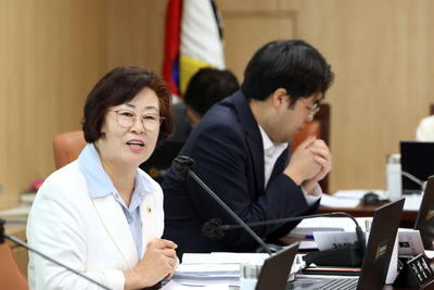 김정애 서울시의원, 재개발 지역 주민 위한 '공공 주도 사업설명회' 제...