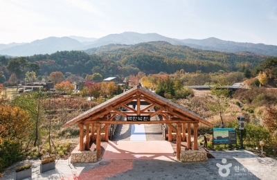 썸네일 이미지