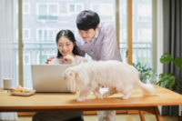 썸네일 이미지
