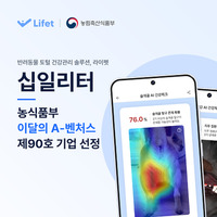 썸네일 이미지