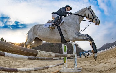 '힘차게 뛰자!' 2026년 병오년(丙午年)