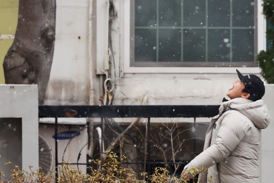 눈 맛이 궁금해~